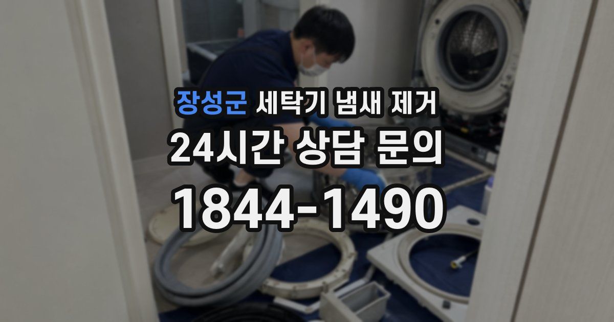 장성군 세탁기 냄새 제거