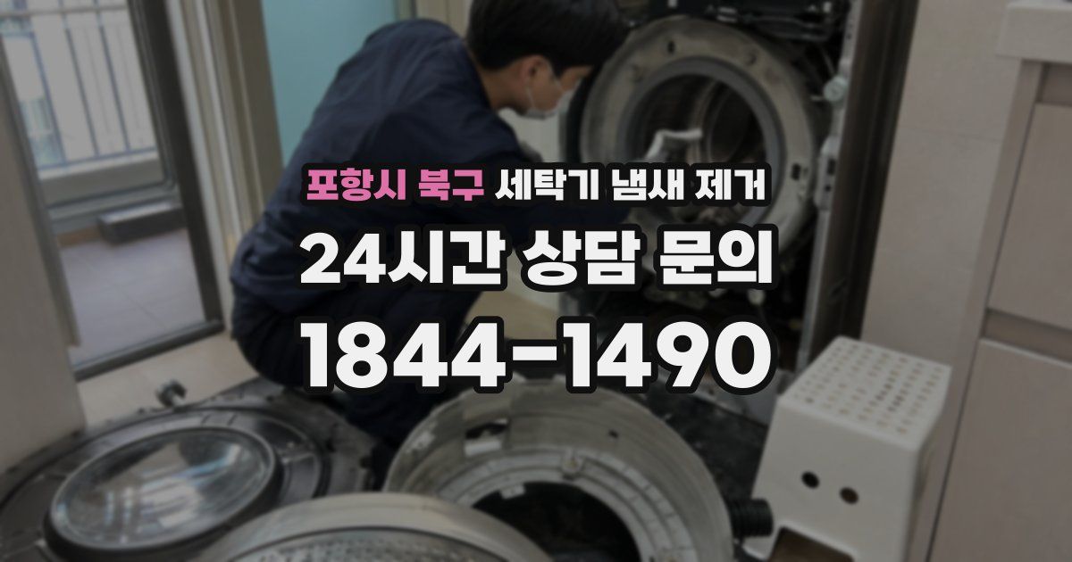 포항시 북구 세탁기 냄새 제거