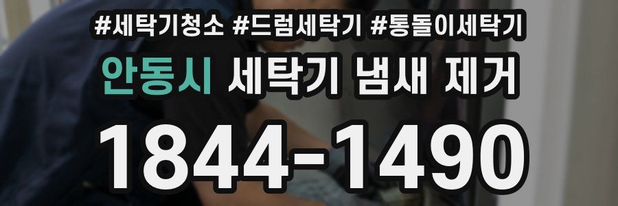 안동시 세탁기 냄새 제거