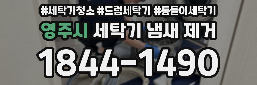 영주시 세탁기 냄새 제거