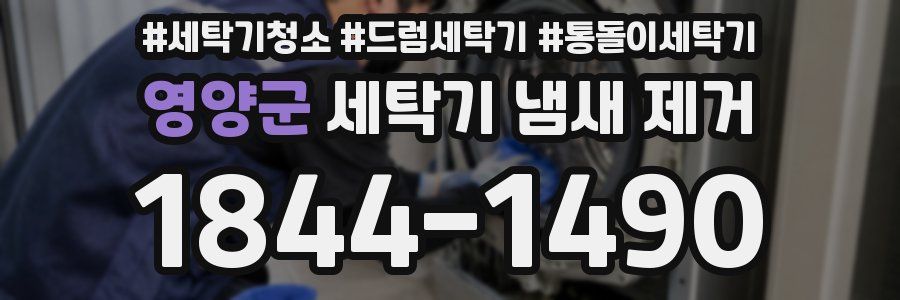 영양군 세탁기 냄새 제거