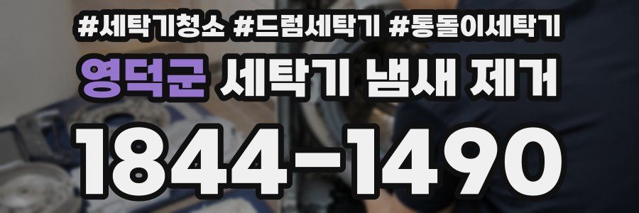 영덕군 세탁기 냄새 제거