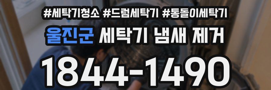 울진군 세탁기 냄새 제거