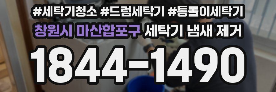 창원시 마산합포구 세탁기 냄새 제거