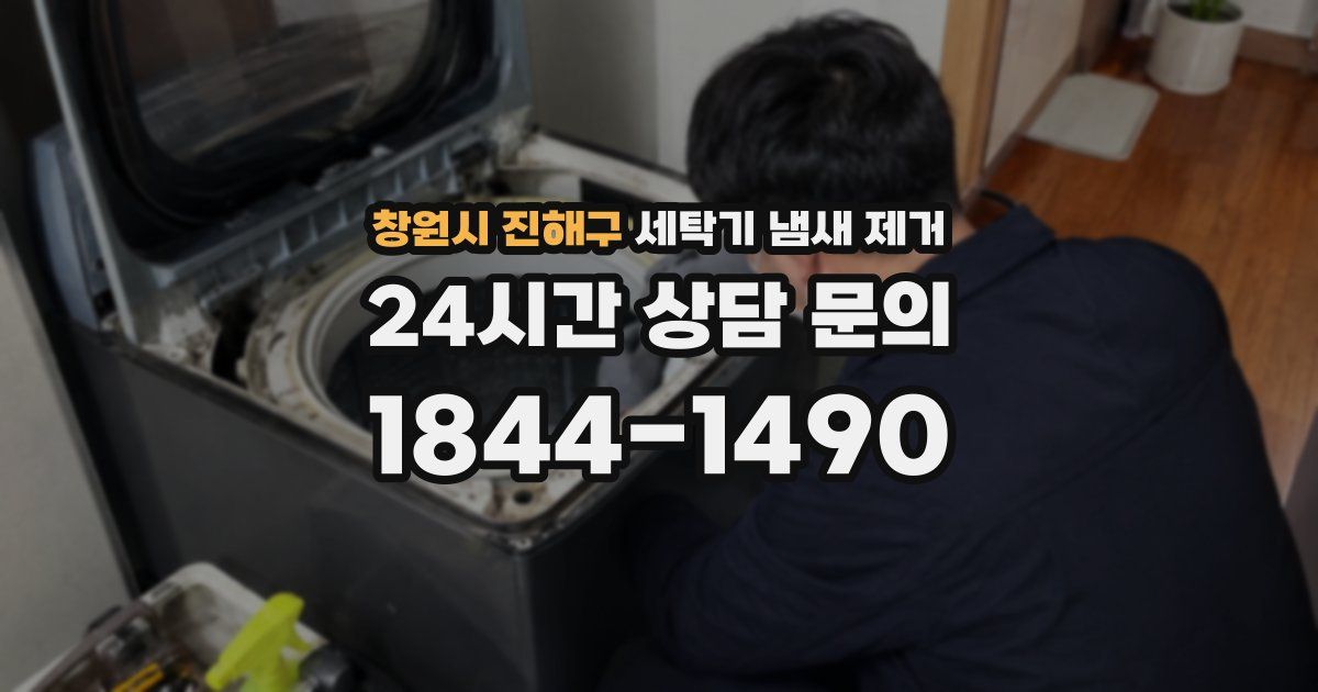 창원시 진해구 세탁기 냄새 제거