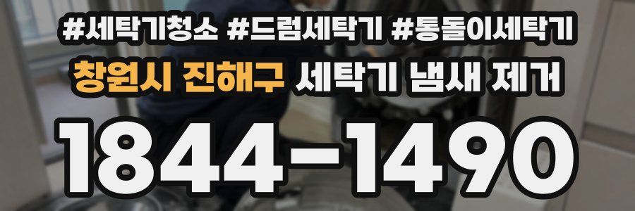 창원시 진해구 세탁기 냄새 제거