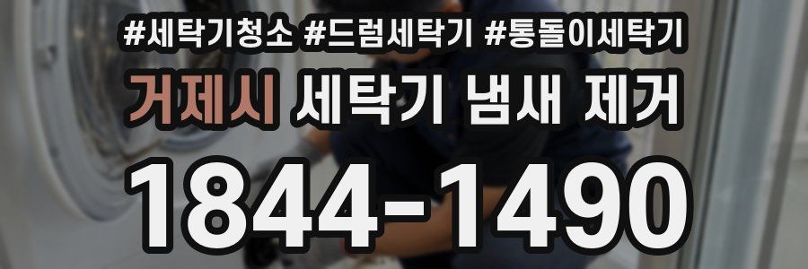 거제시 세탁기 냄새 제거
