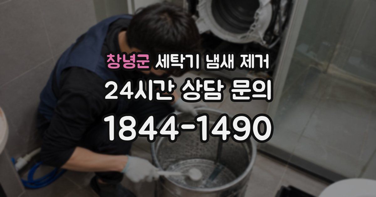 창녕군 세탁기 냄새 제거