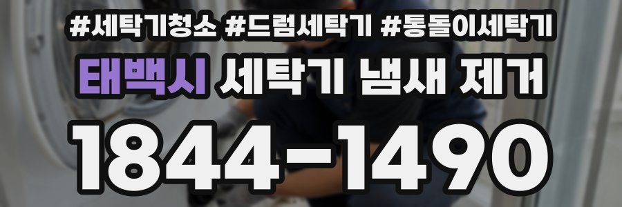 태백시 세탁기 냄새 제거