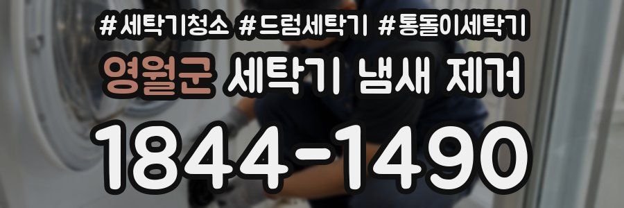 영월군 세탁기 냄새 제거