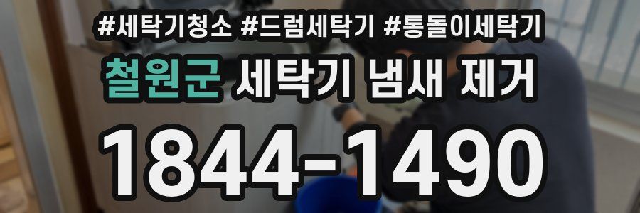 철원군 세탁기 냄새 제거