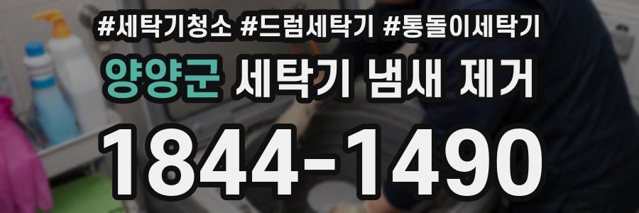 양양군 세탁기 냄새 제거