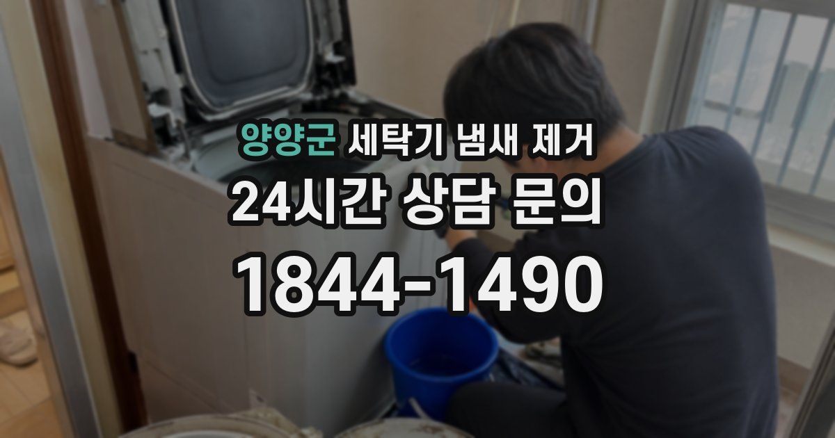 양양군 세탁기 냄새 제거