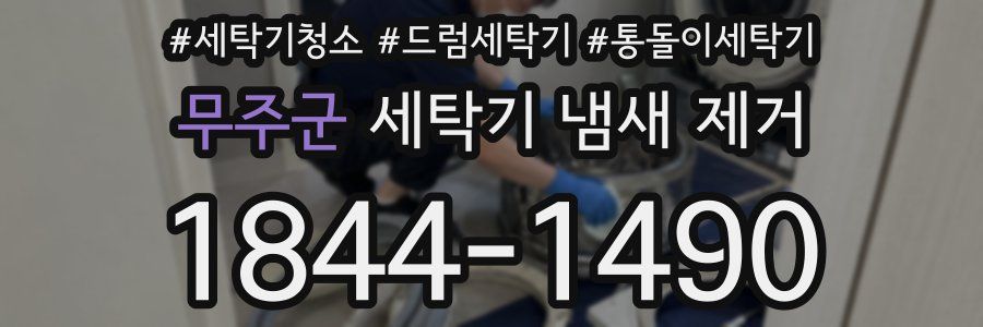 무주군 세탁기 냄새 제거