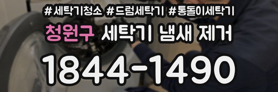 청원구 세탁기 냄새 제거