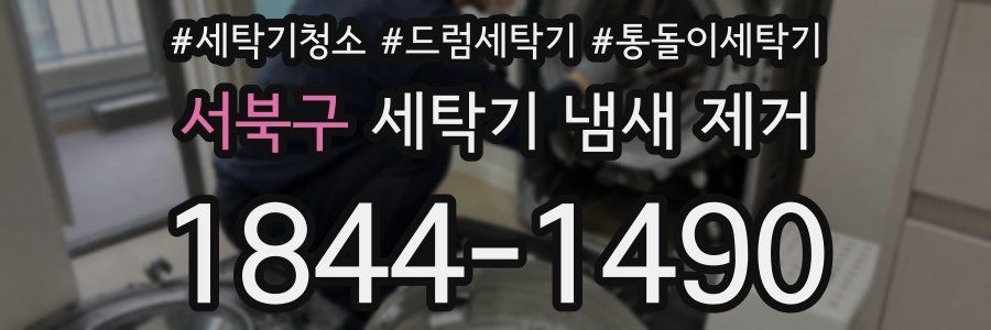 서북구 세탁기 냄새 제거
