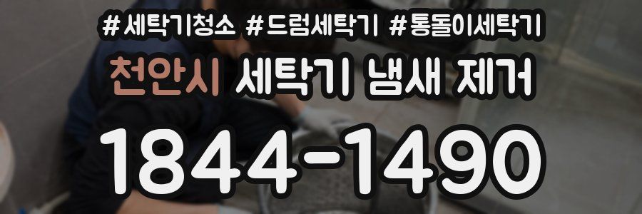 천안시 세탁기 냄새 제거