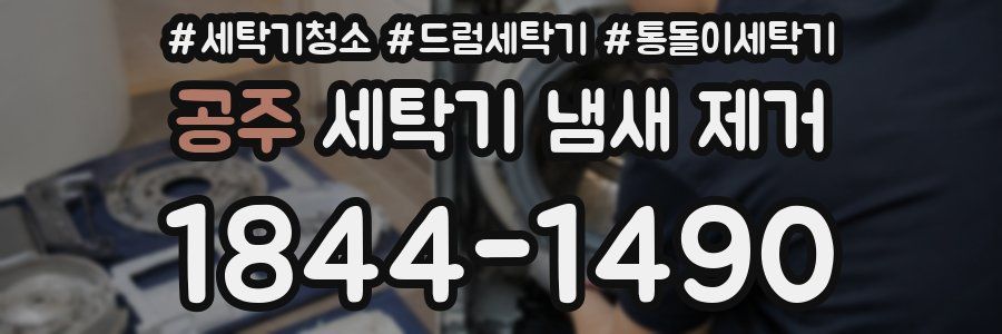공주 세탁기 냄새 제거
