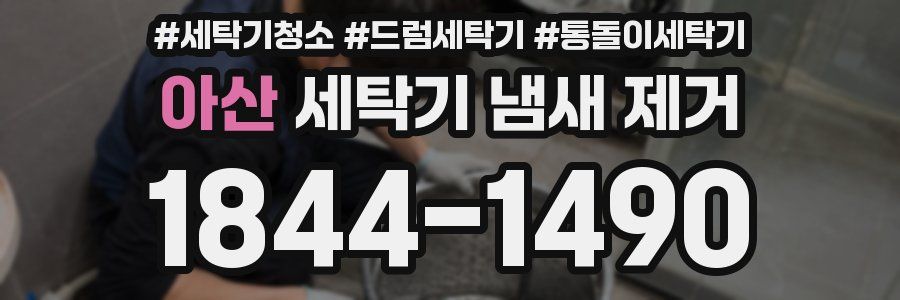 아산 세탁기 냄새 제거