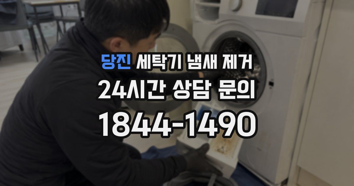 당진 세탁기 냄새 제거