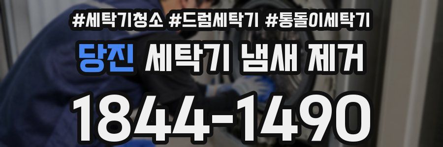 당진 세탁기 냄새 제거