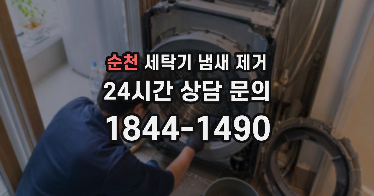 순천 세탁기 냄새 제거