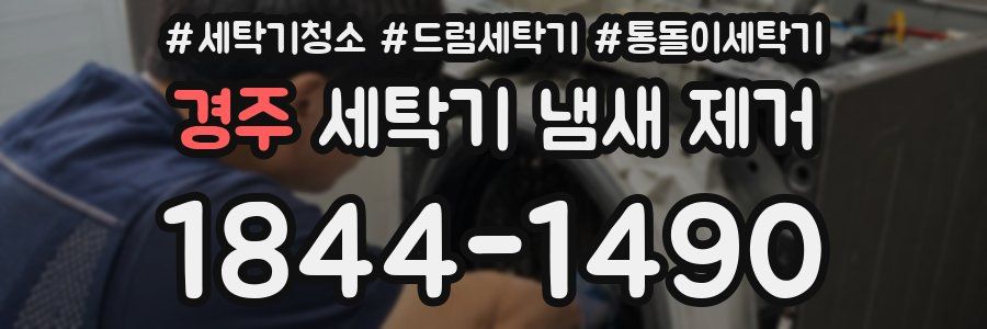 경주 세탁기 냄새 제거