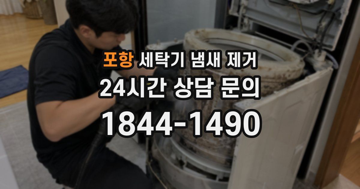 포항 세탁기 냄새 제거