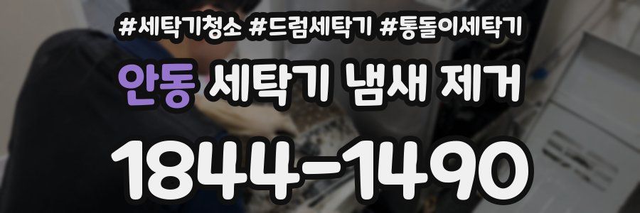 안동 세탁기 냄새 제거