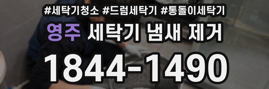 영주 세탁기 냄새 제거