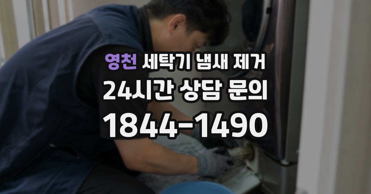 영천 세탁기 냄새 제거