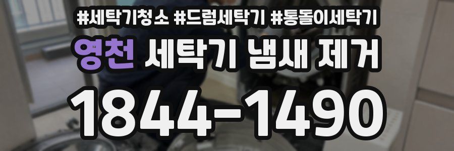 영천 세탁기 냄새 제거