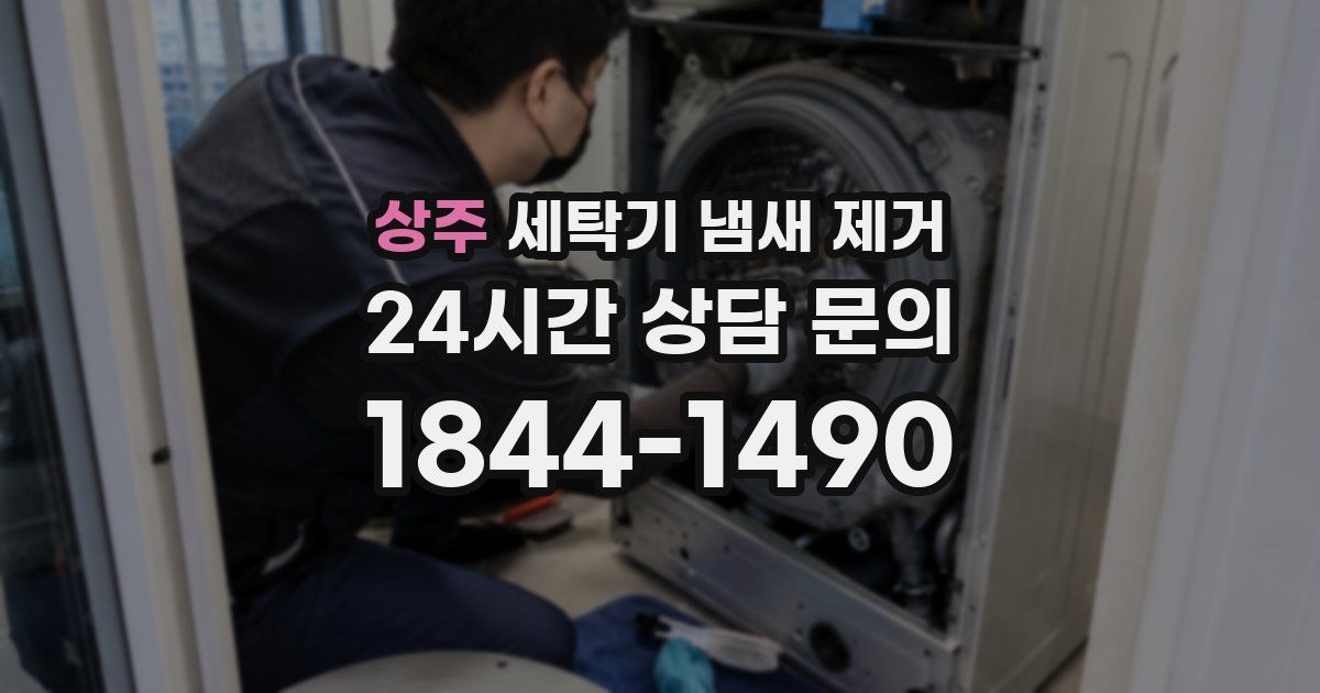 상주 세탁기 냄새 제거