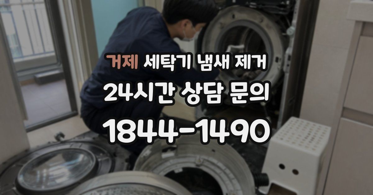 거제 세탁기 냄새 제거