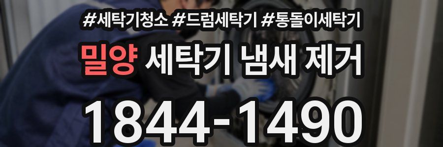 밀양 세탁기 냄새 제거