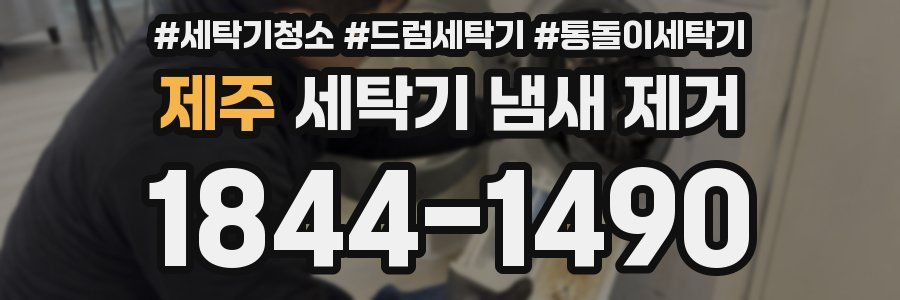 제주 세탁기 냄새 제거