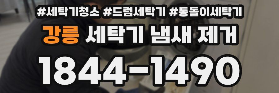 강릉 세탁기 냄새 제거