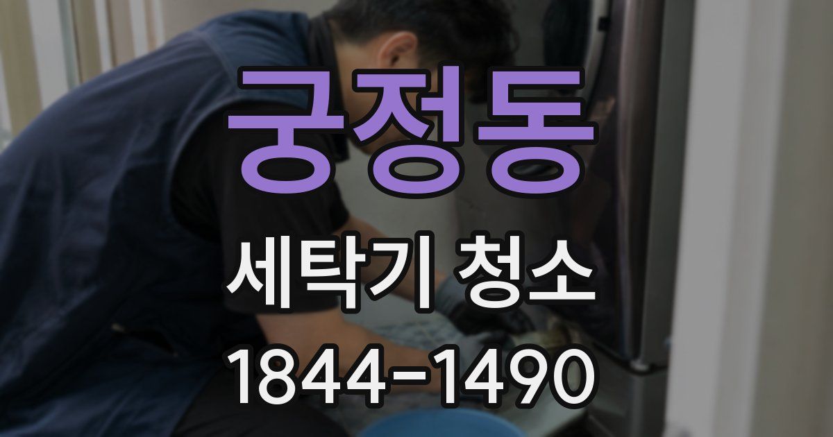 궁정동 세탁기 청소