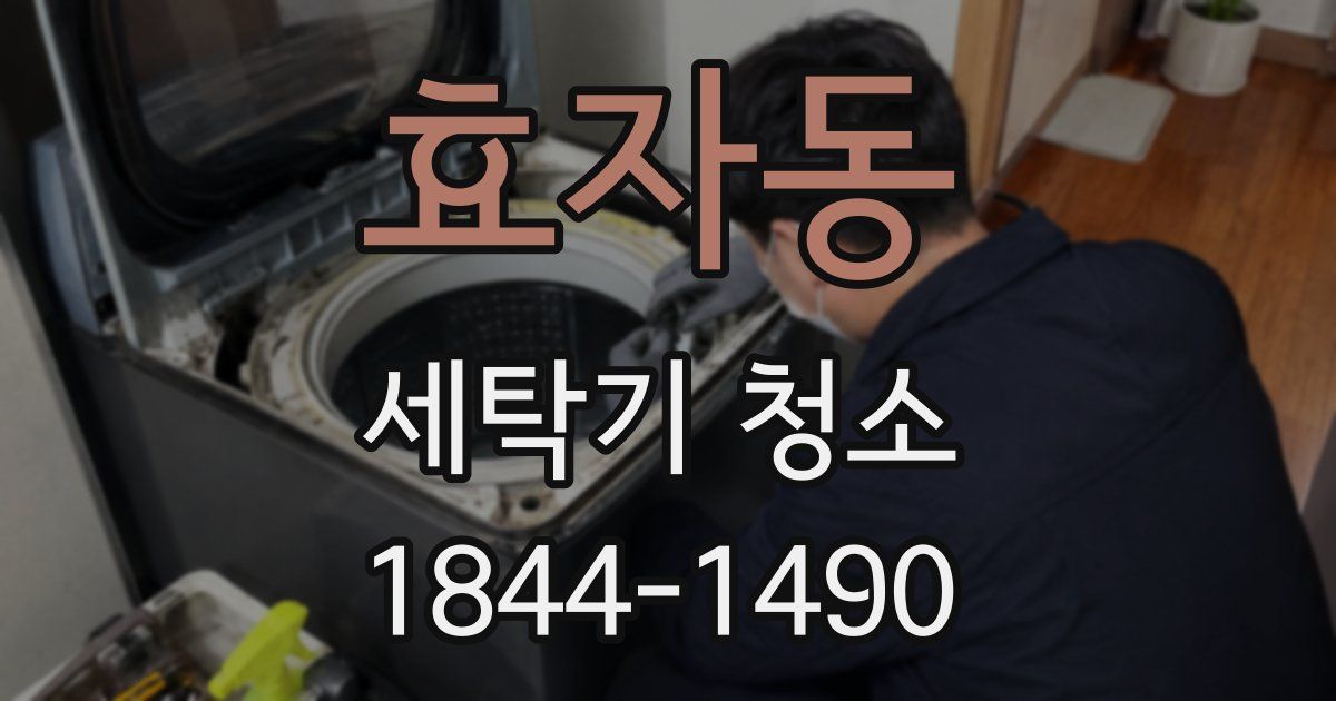 효자동 세탁기 청소