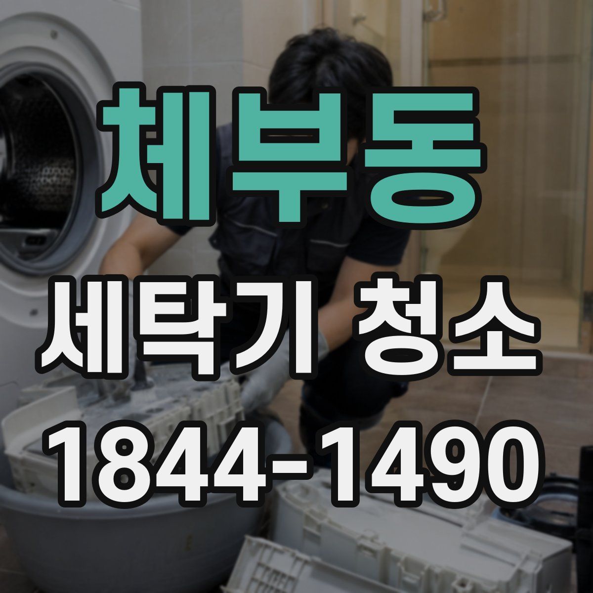 체부동 세탁기 청소