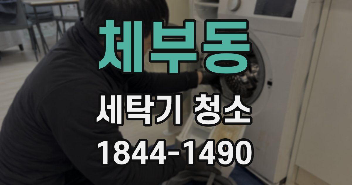 체부동 세탁기 청소