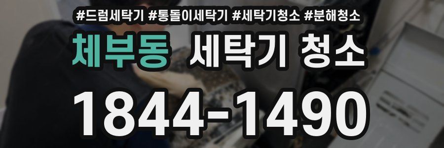 체부동 세탁기 청소