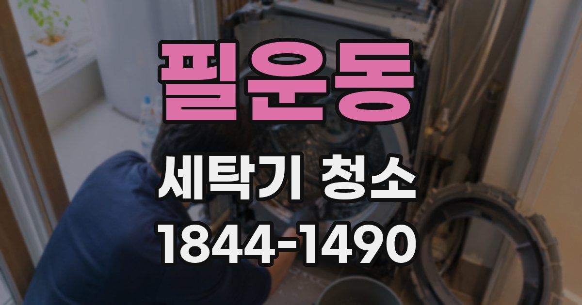 필운동 세탁기 청소