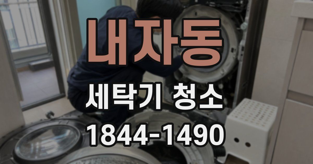 내자동 세탁기 청소