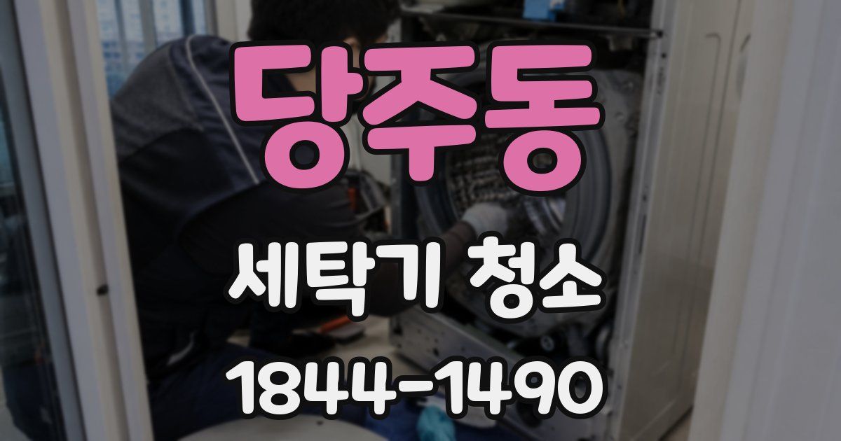 당주동 세탁기 청소