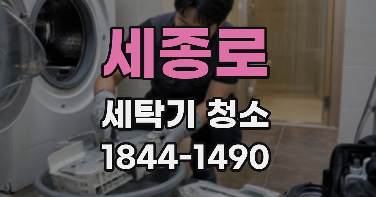 세종로 세탁기 청소