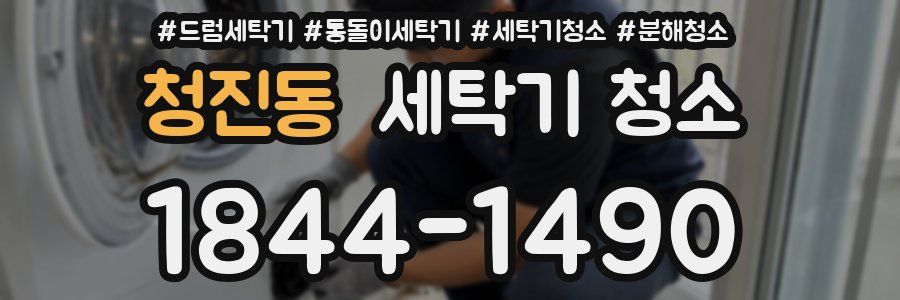 청진동 세탁기 청소