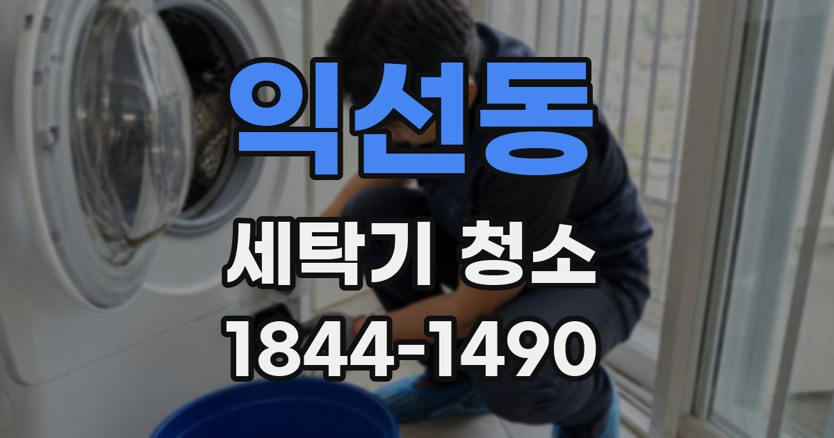 익선동 세탁기 청소
