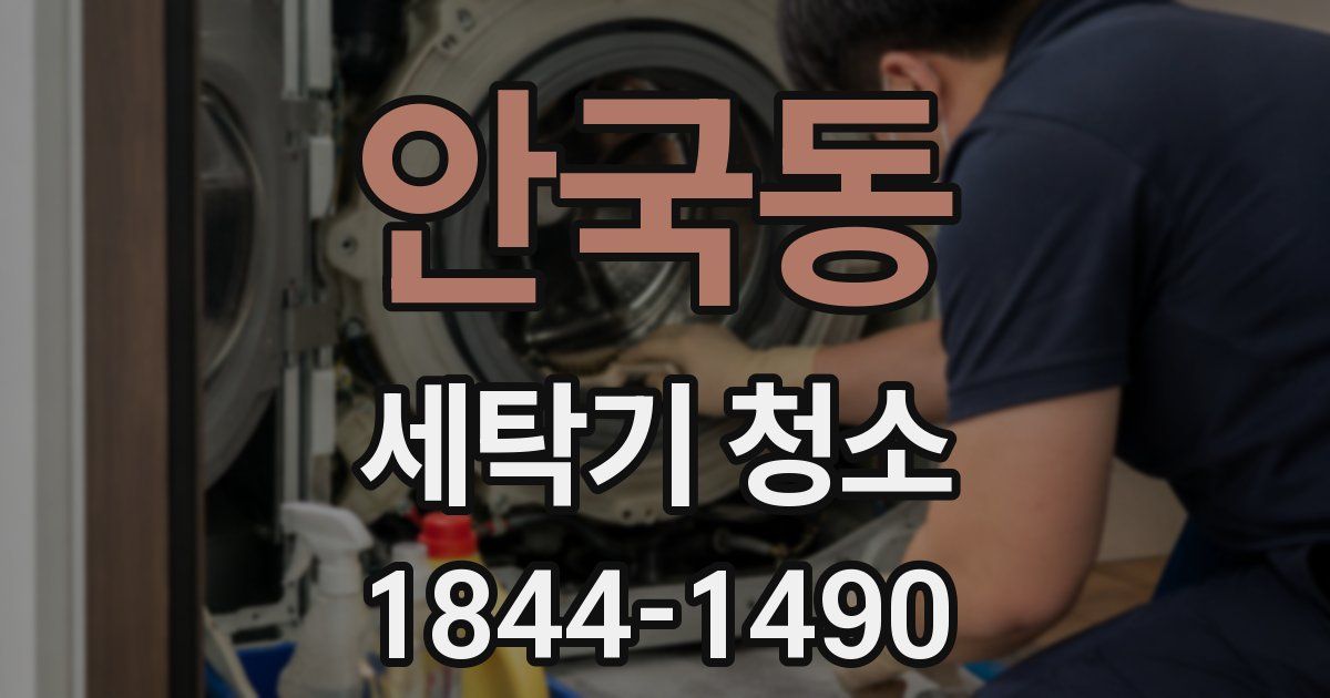 안국동 세탁기 청소