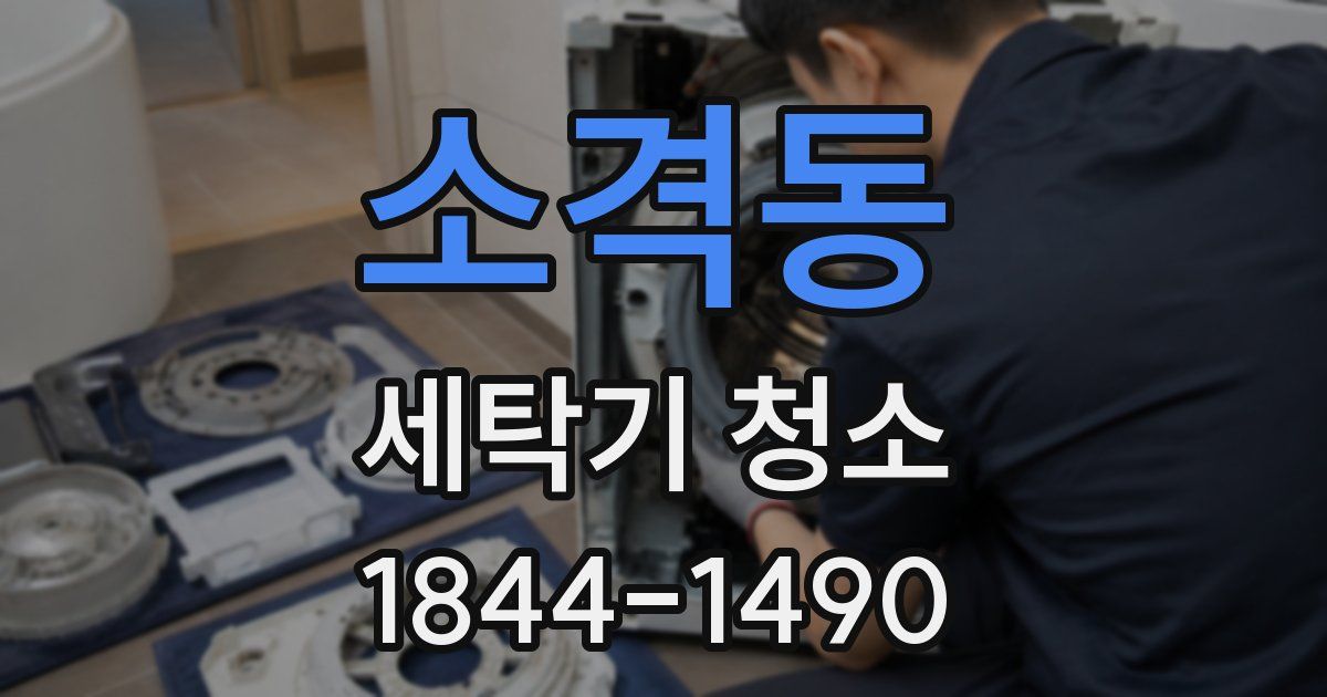 소격동 세탁기 청소